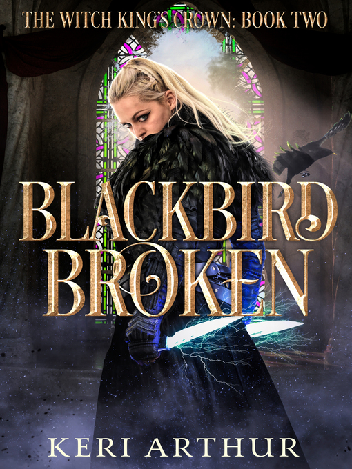Cover image for Blackbird Broken